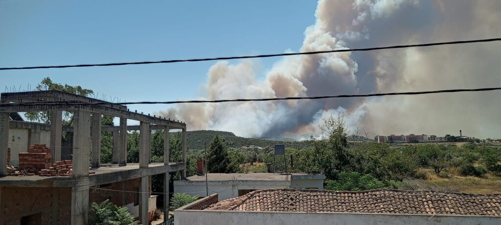Φωτιά στην Εύβοια: Μήνυμα του 112 στα Νότια Ψαχνά για εκκένωση – «Απομακρυνθείτε προς Αρτάκη»