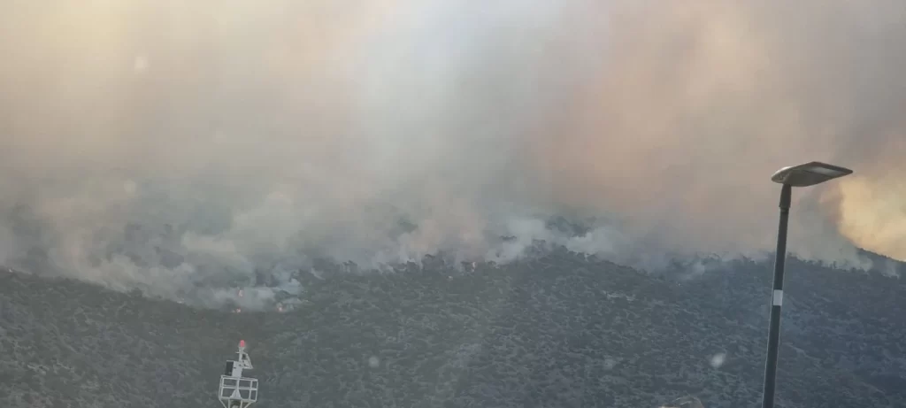 Μεγάλη φωτιά στη Βοιωτία: Νεκρός 80χρονος βοσκός