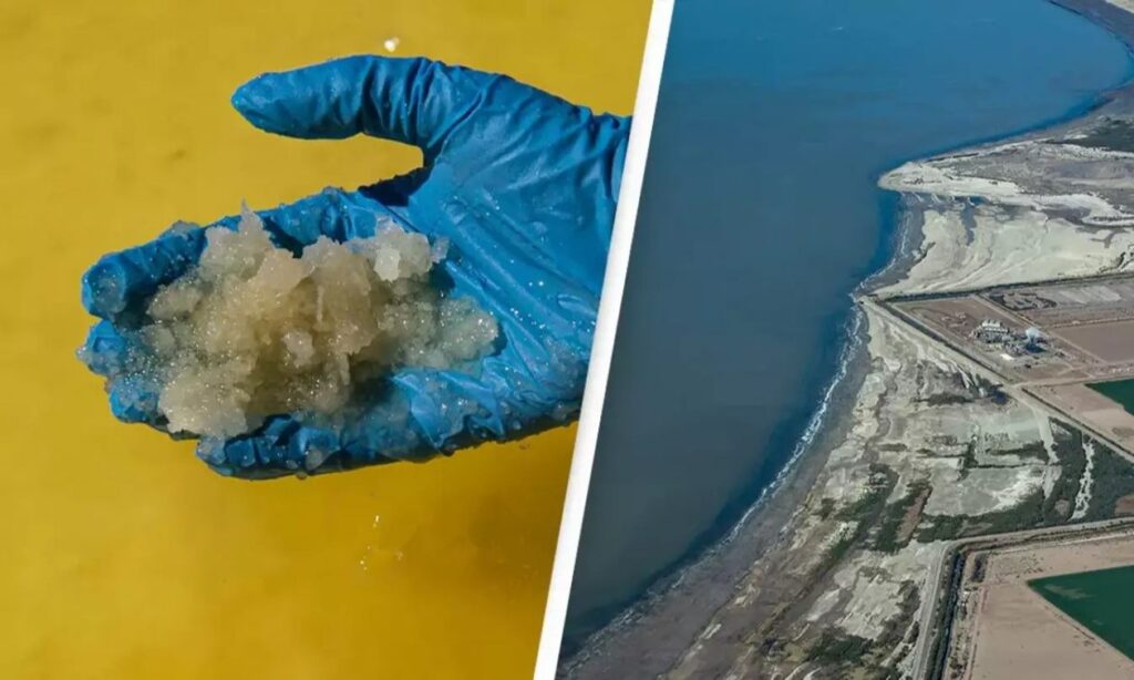 Βρήκαν θησαυρό αξίας 540.000.000.000 δολαρίων