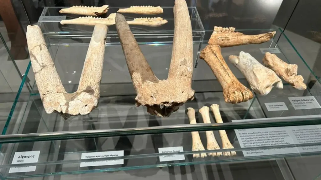 Χαλκιδική: Αποκαταστάθηκαν πλήρως το Σπήλαιο και το Μουσείο Πετραλώνων που μαρτυρούν τα μυστικά της Παλαιολιθικής Εποχής