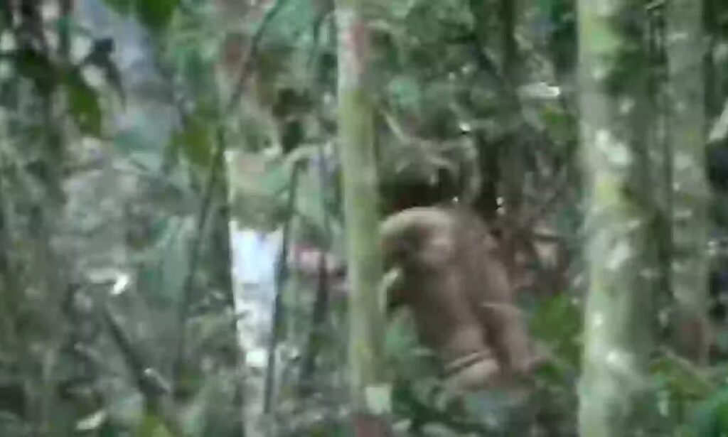 «Ο Ταρζάν της Βραζιλίας»